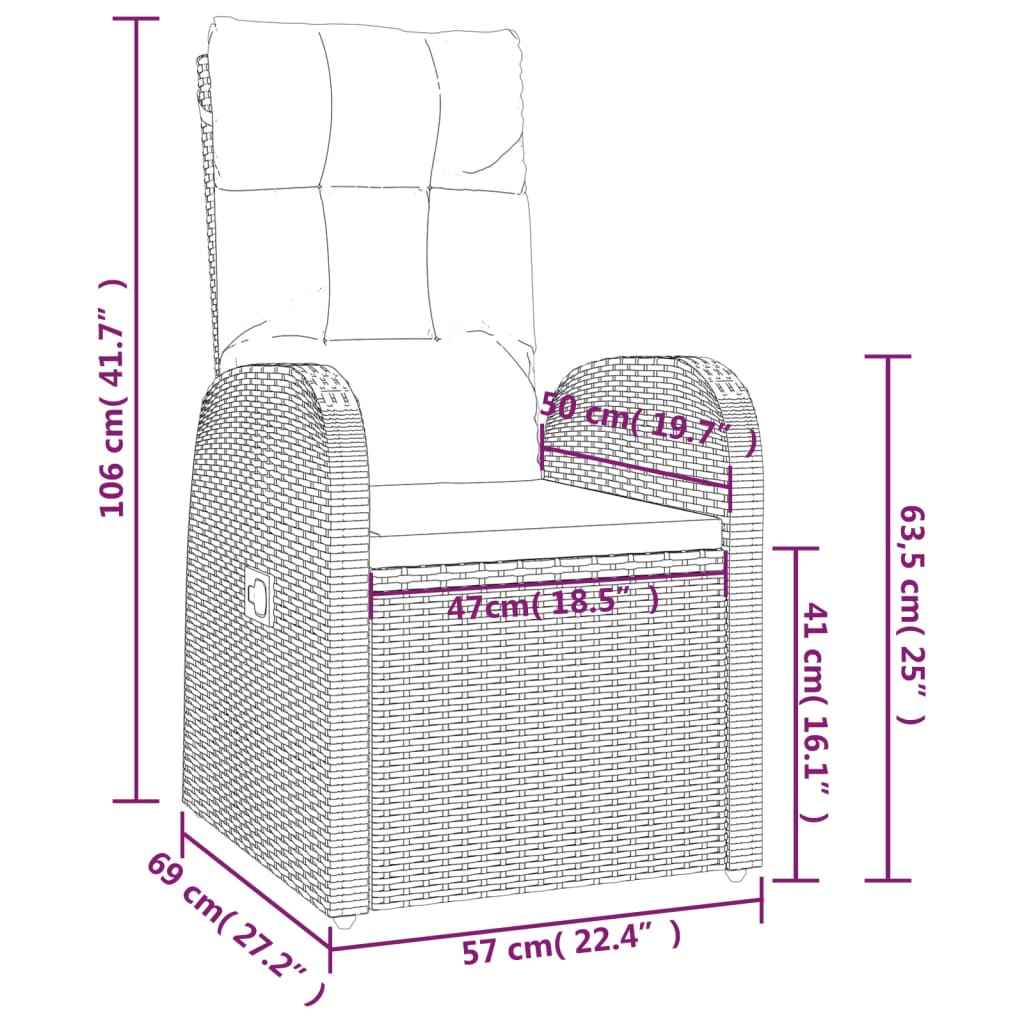 Chaise Inclinable De Jardin 2Pc Et Coussins Résine Tressée