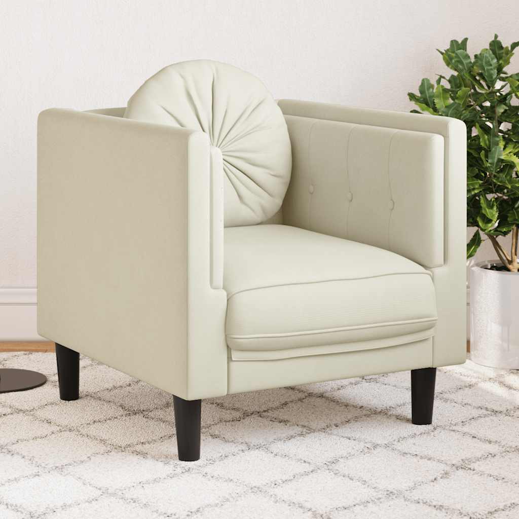 Fauteuil Avec Coussin Velours